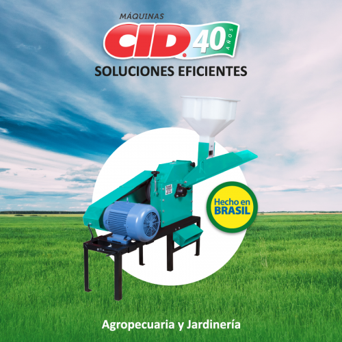 CID-2019-05-28