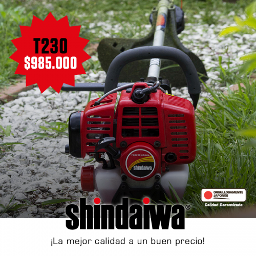 Shindaiwa-2020-02-19