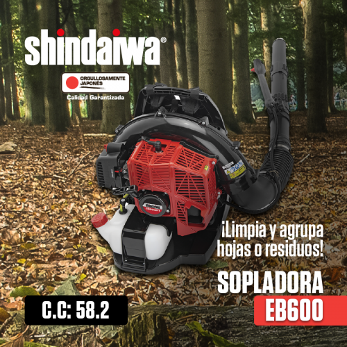 Shindaiwa-2021-02-05