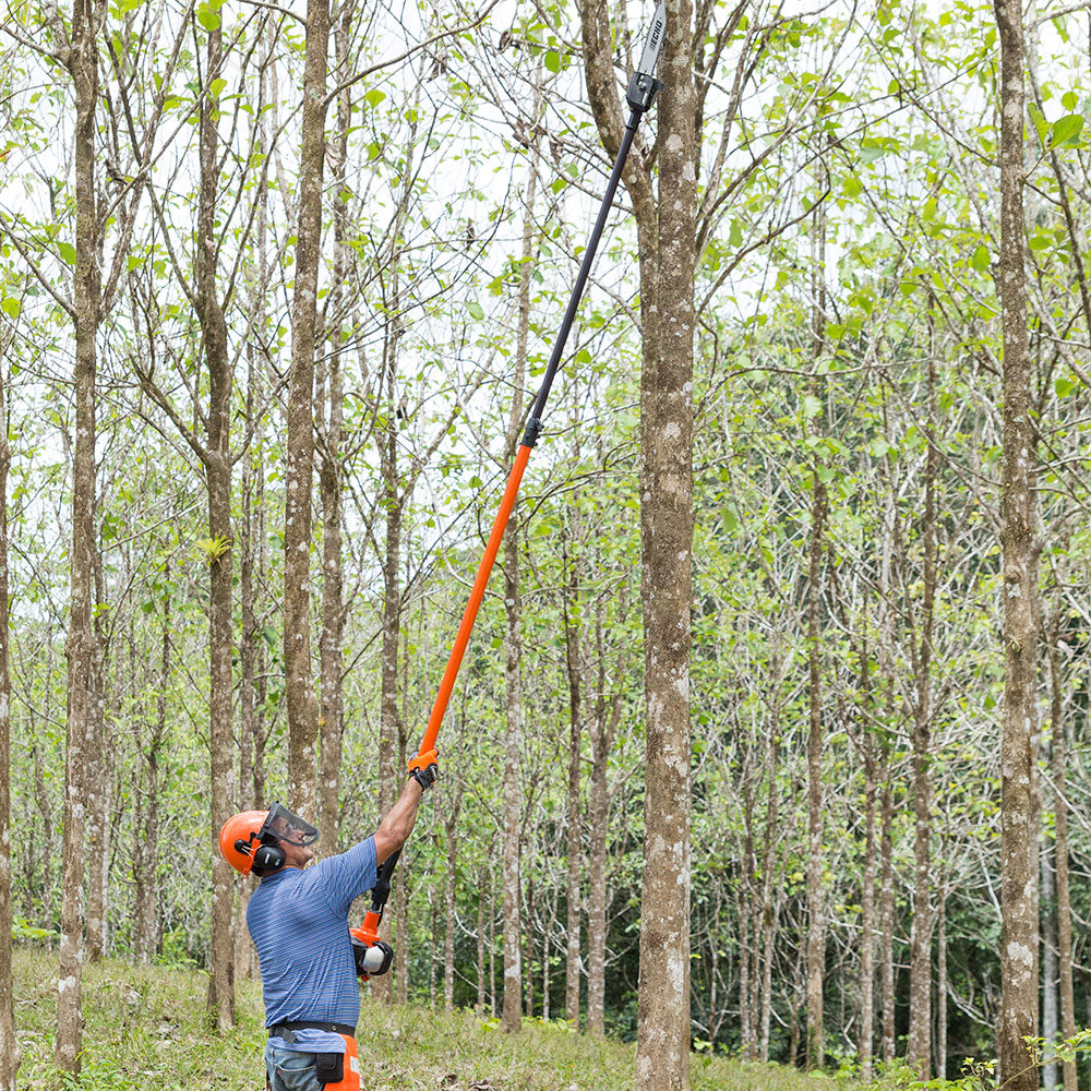 Poda de arboles con motosierra de extensión o telescopica 